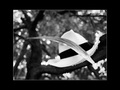 Na drvetu