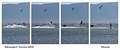 Kitesurferi - &hellip;