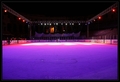 ARENA ICE FEVE&hellip;