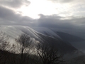 Creska_maglica