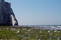 Etretat des mo&hellip;