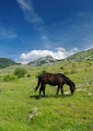 Velebit - Malo&hellip;