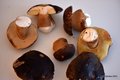Boletus  eduli&hellip;