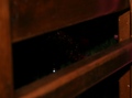 detalj kadra