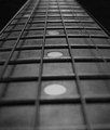 neck