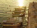 DSC00621 - foto