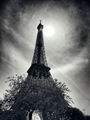 the Eiffel Tow&hellip;