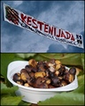 1. Kestenijada&hellip;