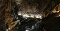 Grotta Gigante