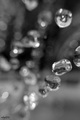 Drops of happi&hellip;