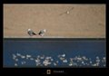 Grounded