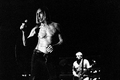 Iggy Pop &&hellip;