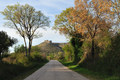 Ostrovica