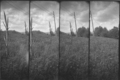 supersampler 1&hellip;