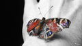 butterfly effe&hellip;